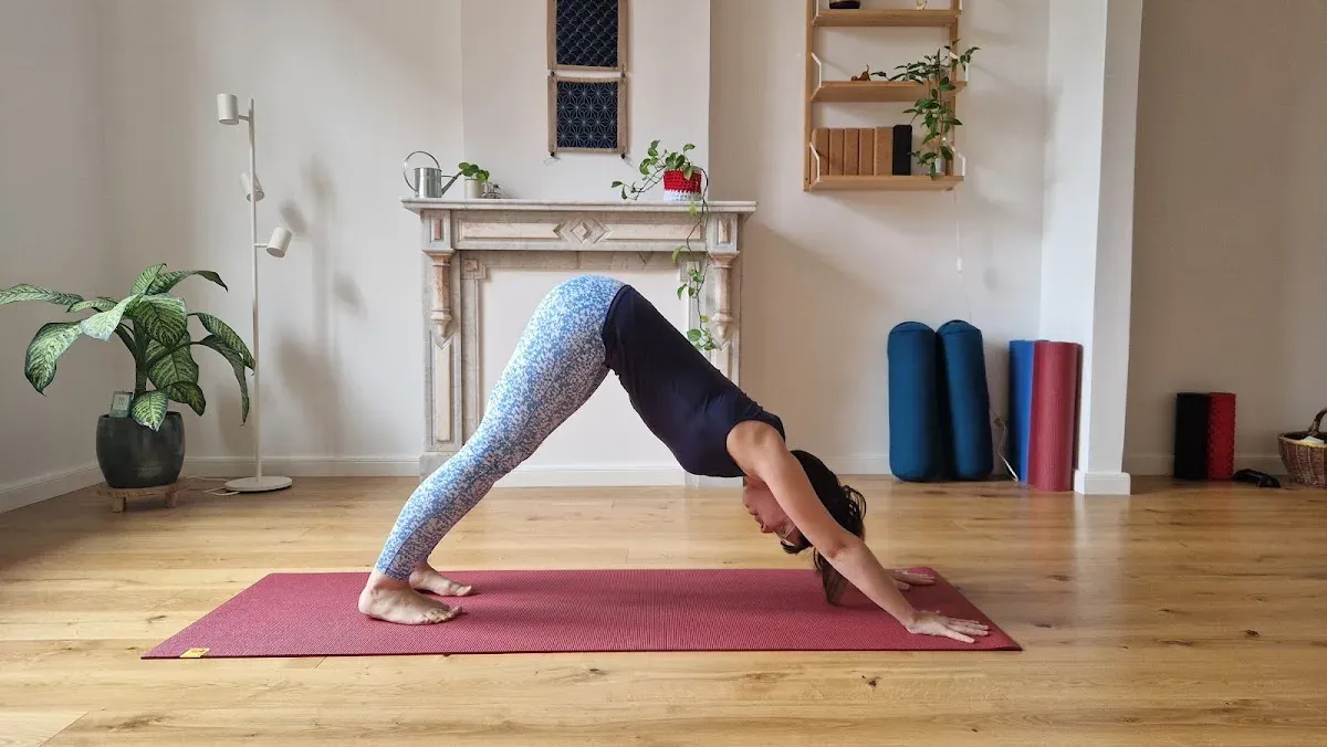 Sol y Luna - Yoga et Pilates, salle de sport — Rue Henri Neuman 53, 7090 Braine-le-Comte