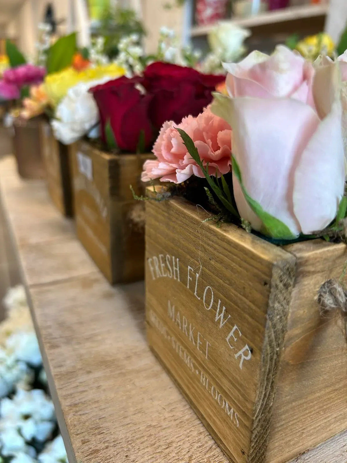 Moment Fleuri, fleuriste — Grand Place 7, 7090 Braine-le-Comte